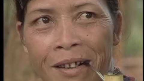 Lễ Trỉa lúa của người Brâu - Văn hóa dân tộc Brâu