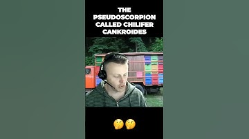 Revolutionary Pest Management Pseudo-scorpion Unleashed to Combat Varroa