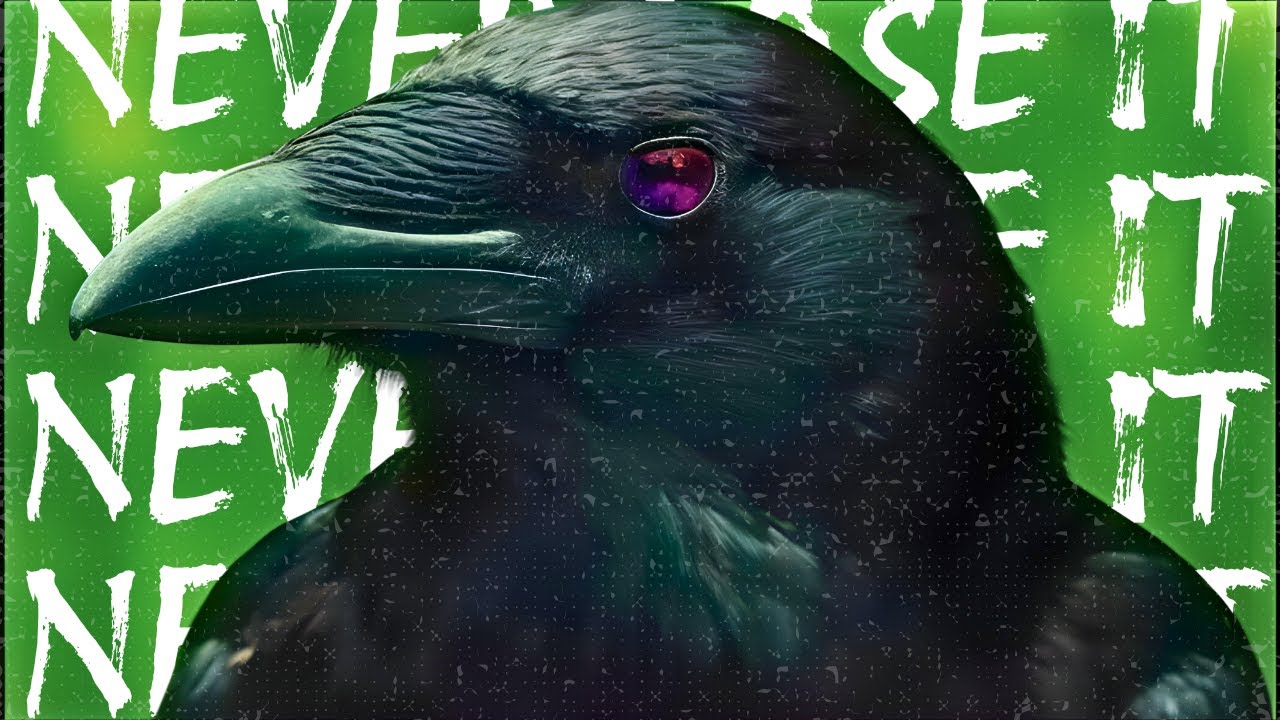 DJ MATT & Oliver Tree – Never Lose It (Official Music Video)