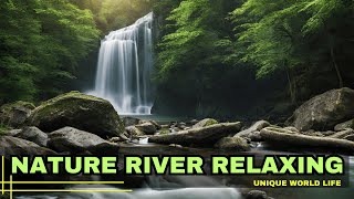 Aquatic Aria 🌸 Relaxing River Melodies, A Serene Escape in the Heart of Nature