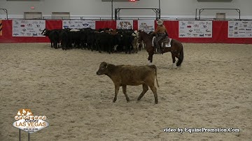 WR Hotshot ridden by Anne M. Albert  - 2019 NRCHA Stallion Stakes (Herd Work, NP Ltd.)