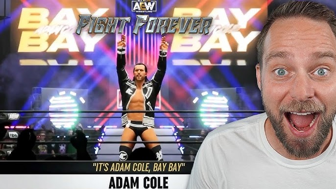 Gamesault on X: Tomorrow. AEW Video Game Roster (Concept) #AEW