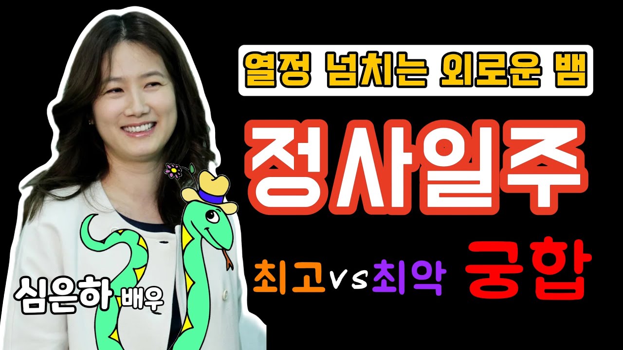 열정 충만 외로운 뱀 '정사일주' 궁합찾기 - 심은하 배우 최악 최고 궁합은? | 내 궁합 쉽게 찾기