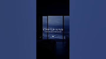 {فذلكم الله ربكم الحق}…أين أنتم ذاهبون؟| #قرآن #تلاوة_خاشعة #عبدالرحمن_مسعد #تابعوني #اكسبلور #لايك