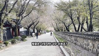 온달부부의 첫 브이로그