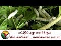 பட்டுப்புழு வளர்க்கும் விவசாயிகள் .கணிசமான லாபம்