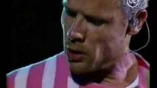 The Zephyr Song - Red Hot Chili Peppers - Chile 2002