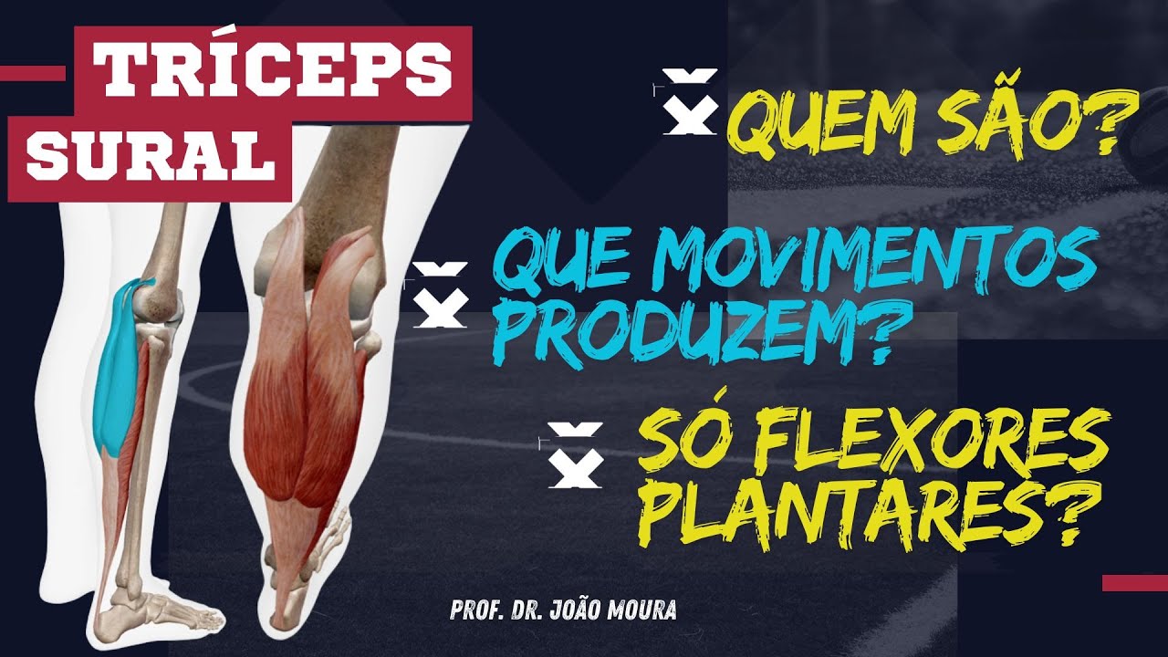 ABSOLUTAMENTE TUDO SOBRE O TRÍCEPS SURAL