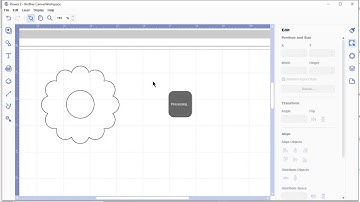 PE Design 11 - Working with Brother Canvas Workspace Shapes