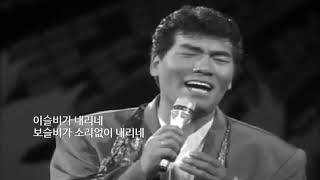 나훈아 - 연정(戀情) (1982년 취입곡))