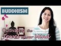 Buddhism cultivating the jewel of our mind