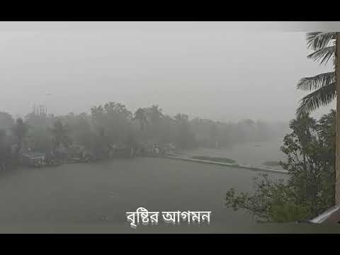 ভিডিও: গোলাপী হাতি এবং শরতের বৃষ্টি