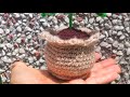 🌸 Crochet Flower Pot Tutorial – Final Round (Part 3) | Easy Hinglish Guide 🧶