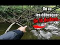 Le wading tout ce quil faut savoir