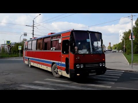 Автобус Икарус (Ikarus