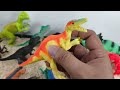Jurassic Dinosaur Showdown – T-REX, Mosasaurus, Brachiosaurus, Gigantosaurus, Kentrosaurs,Dimetrodon