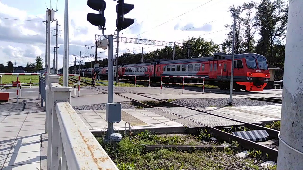 Электрички царское село санкт петербург сегодня