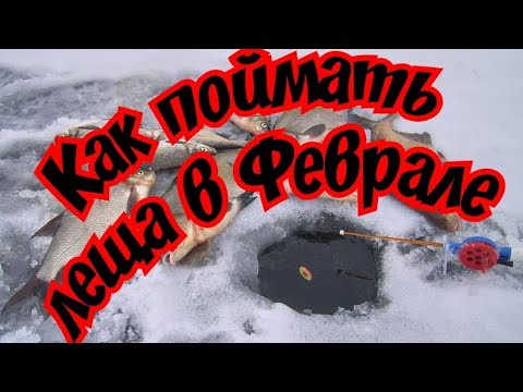 Ловля леща в феврале. Тонкости и нюансы хорошего клева. Снасти Наживка и Прикормка.