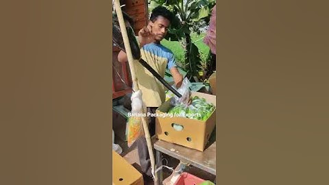 Efficient Banana Packaging for Export #viralreels #shortsfeed #shortvideo #dubai #youtubesupershorts
