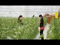 В Японии инновации помогают сделать продукты питания безопаснее