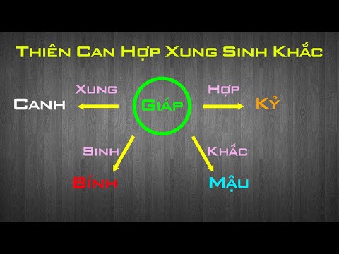 Video: Tử Vi Tương Hợp Là Gì