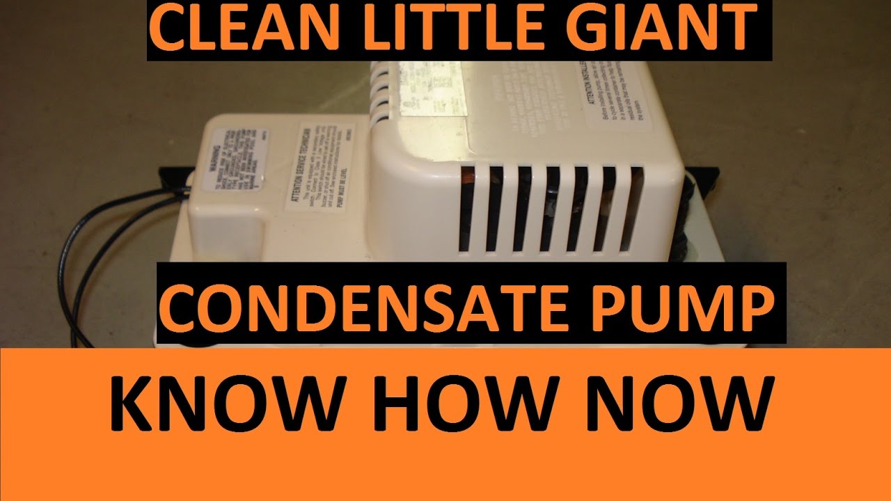 Clean A Little Giant Condensate Pump