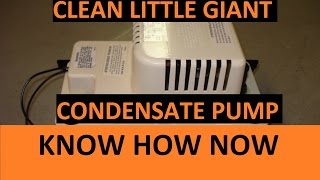 Clean a Little Giant Condensate Pump screenshot 3