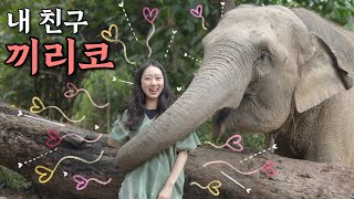 🇹🇭I could play with you all day! A Must-Try experience👍 | Chiang Mai Elephant Sanctuary