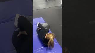 Modified Side Plank with Hip Extension Clamshell