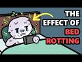 Understanding Bedrotting and Its Impact