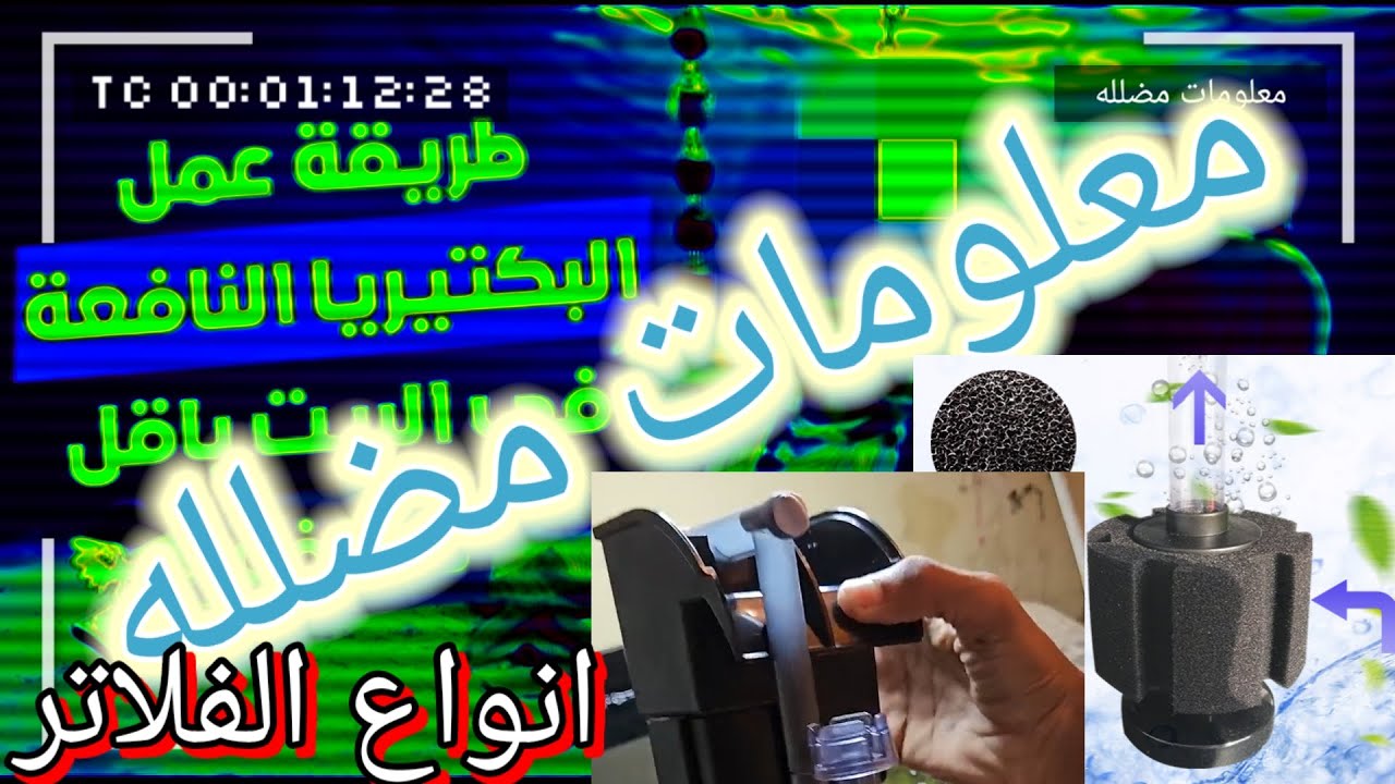 معلومات مضلله ومغلوطه عن البكتريا النافعه وأنواع فلاتر  لأحواض السمك. 