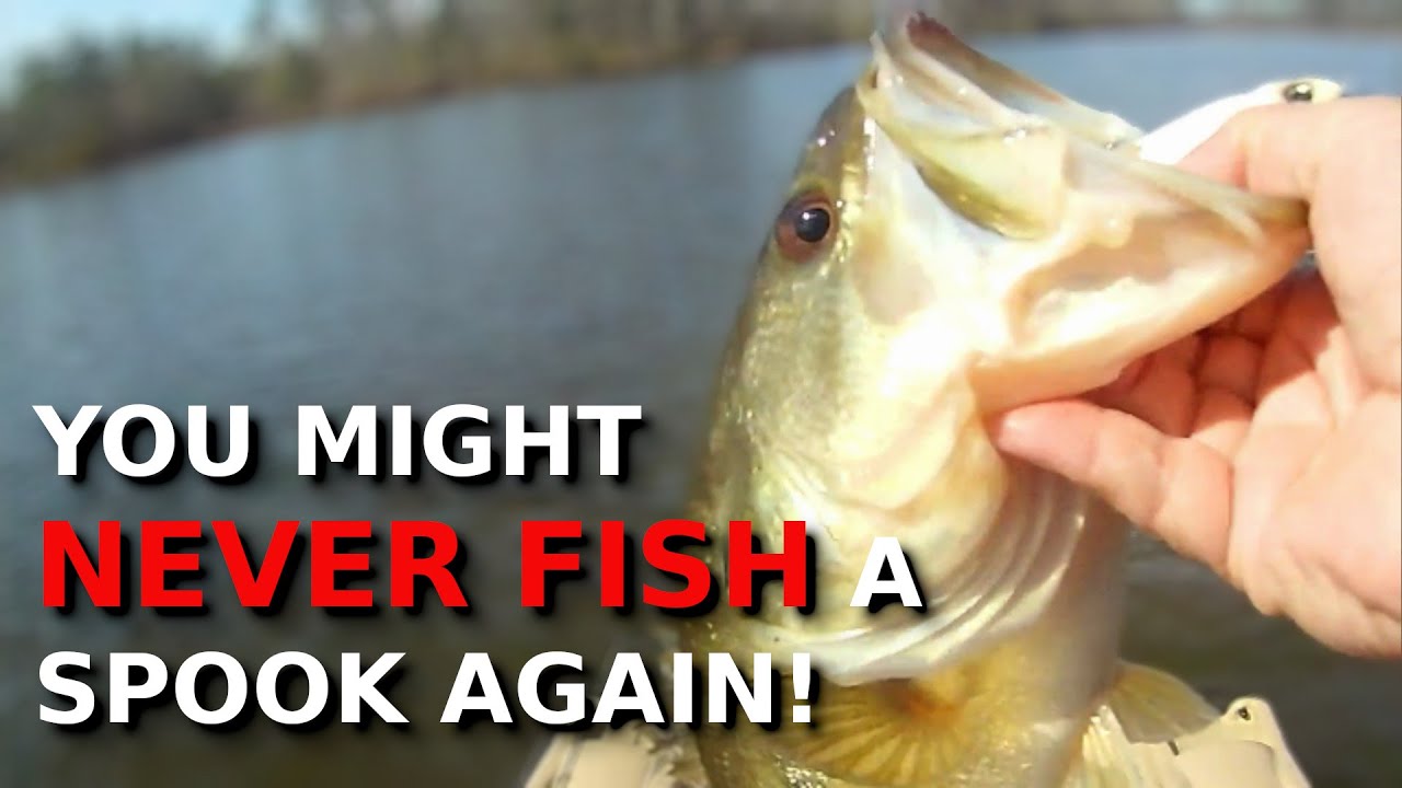 Is This REALLY Better Than A Heddon Spook?!?!?! (Spoiler- YES It Is!!!!!)