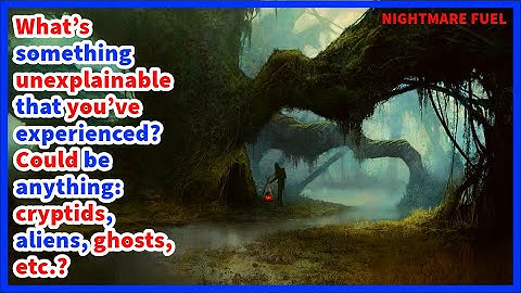 What’s something unexplainable that you’ve experienced? Could be anything: cryptids, aliens, etc.?