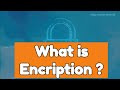 Understanding Encryption: Mechanisms, Types, Algorithms, Applications, and Challenges