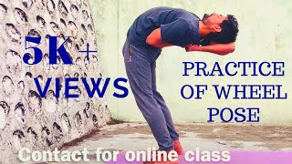 Practice of wheel pose | Backbend yoga Practice | Anmol Singh