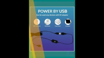 GUTTERBALLS Topper 3D Acrylic LED Topper, for The Big Lebowski Pinball Machine, The Dutch Pinball...