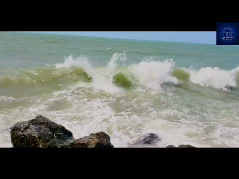شاهدو اعلى مد للبحر واقوى الامواج من كورنيش مدينة الحديدة
