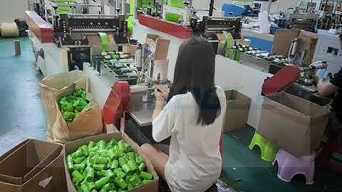 Dog Poop Bags Making Machine (Manual Change Core)