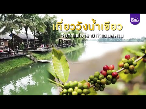 เที่ยววังน้ำเขียว จิบกาแฟอาราบิก้าแดนอีสาน @โรงคั่วกาแฟ | ท่องทั่วไทย