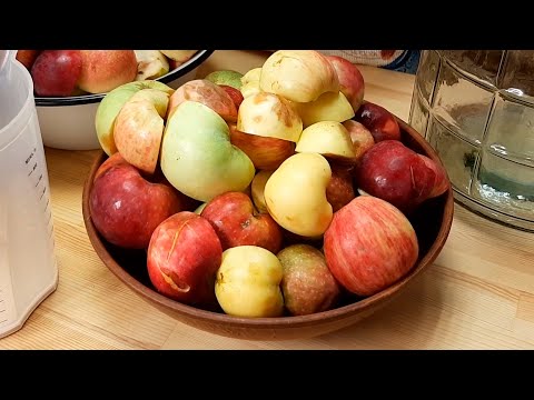 Рецепт вина из яблочного сока в домашних условиях без дрожжей