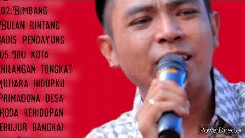 Gerry mahesa Benalu cinta New pallapa