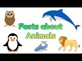 Facts about Animals | Interesting Fun Facts about Animals for Kids | @AAtoonsKids