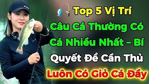 🎣 Top 5 Vị Trí Câu Cá Thường Có Cá Nhiều Nhất – Bí Quyết Để Cần Thủ Luôn Có Giỏ Cá Đầy