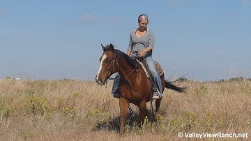 Peptos Playin CD***For info, price, etc., go to our website***ValleyViewRanch.net