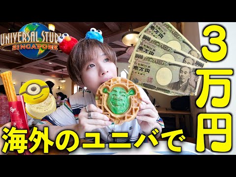 (激レア) ユニバーサルスタジオ・シンガポール ヒックとドラゴン セット 激レア) ユニバーサルスタジオ・シンガポール ヒックとドラゴン