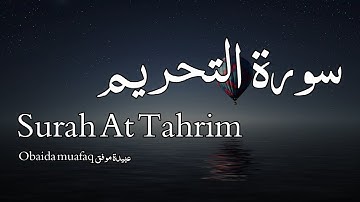 Surah At Tahrim سورة التحريم - Obaida muafaq عبيدة موفق - Quran Voice