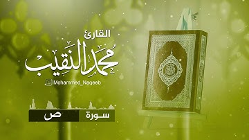 القارئ محمد النقيب سورة ص || محمد النقيب