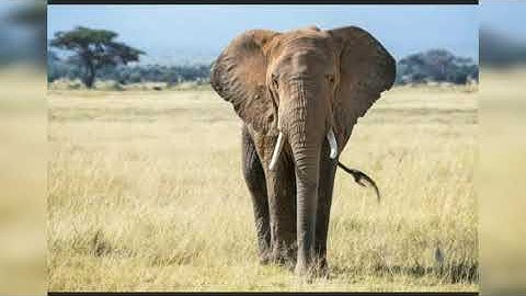 Std-4, Bridge Course, Day 4 , Subject→Urdu ( Urdu Medium)