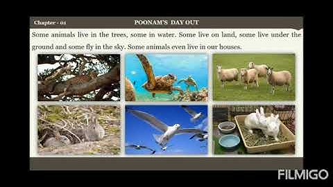 Class III CBSE   Science   Chapter 1   Poonam