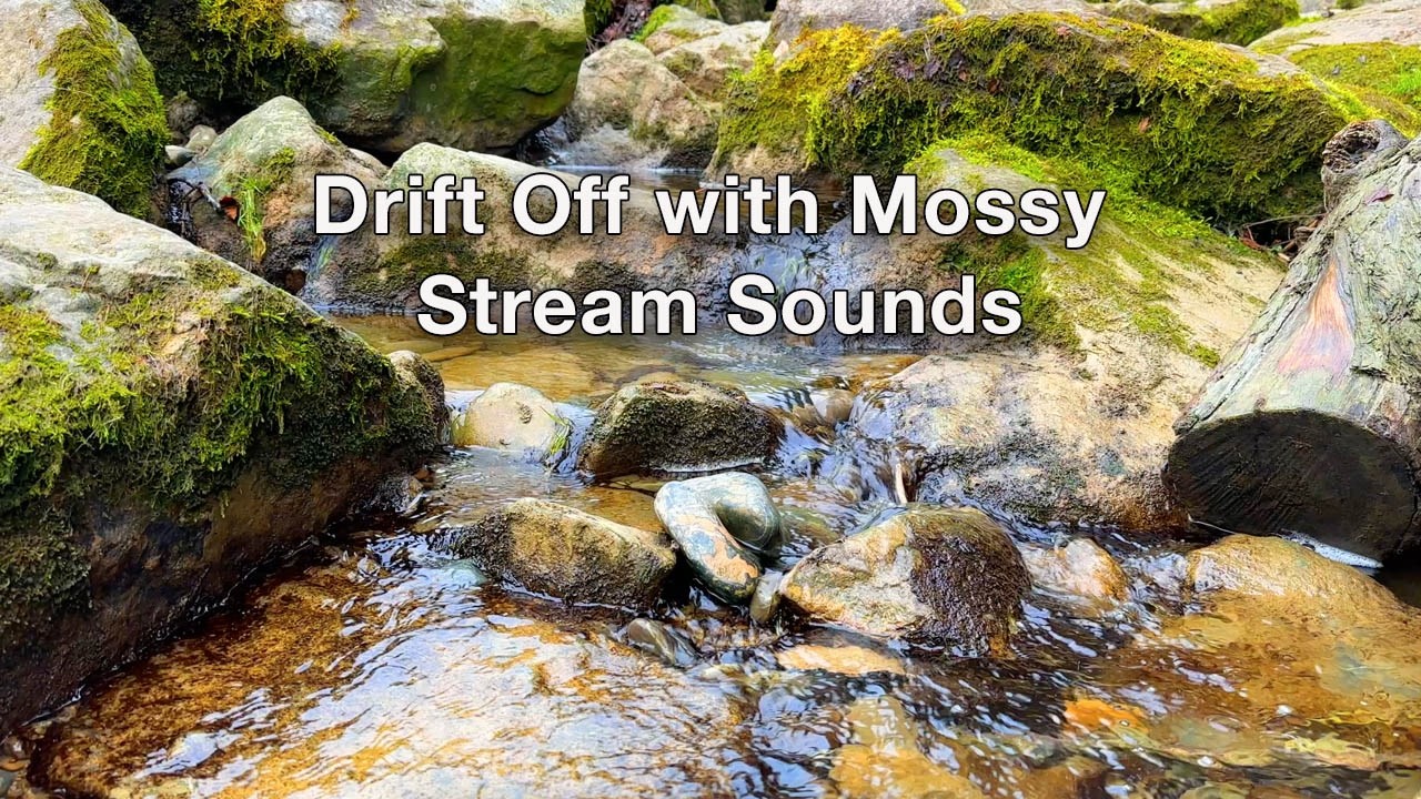 Crystal Stream Over Mossy Rocks 💧 Gentle Water Sounds for Deep Sleep